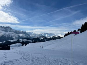 PHOTO-2026-03-25-18-33-14 2