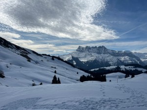 PHOTO-2026-03-25-18-33-14 3