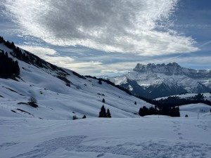 PHOTO-2026-03-25-18-33-14