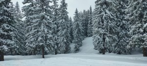 PHOTO-2026-03-26-18-17-46 4